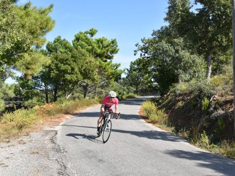 Camping Parc Saint James Gassin - Parc Montana  - Camping Var - Image N°33