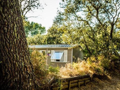 MOBILHOME 6 personnes - Cottage Family