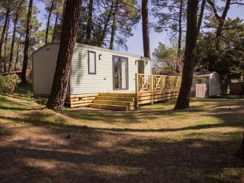 MOBILHOME 5 personnes - Cottage premium +
