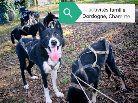 Camping la Ripole - Camping Dordogne - Image N°25