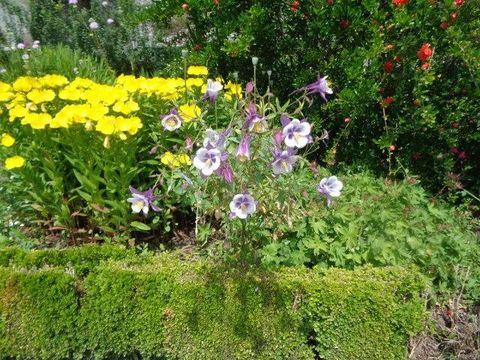Camping la Ripole - Camping Dordogne - Image N°20