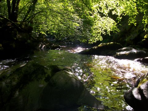 Camping la Ripole - Camping Dordogne - Image N°21