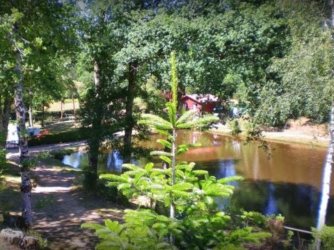Camping la Ripole - Camping Dordogne - Image N°16