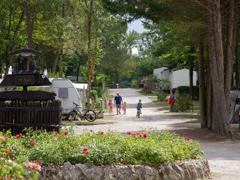 Flower Camping Le Pressoir - Camping Gironde - Image N°13