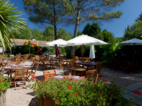 Flower Camping Le Pressoir - Camping Gironde - Image N°25