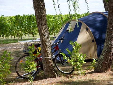 Flower Camping Le Pressoir - Camping Gironde - Image N°27