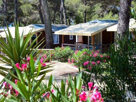 MOBILHOME 2 personnes - Cottage Ile d'Or 2p 1ch 1sdb