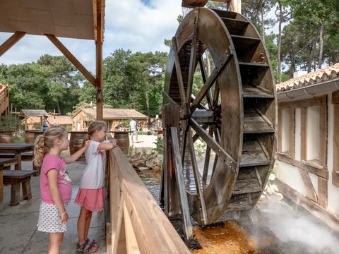 Flower Camping Au Bois des Biches - Camping Vendée - Image N°30