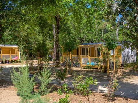 Flower Camping Au Bois des Biches - Camping Vendée - Image N°36