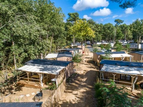 Flower Camping Au Bois des Biches - Camping Vendée - Image N°39