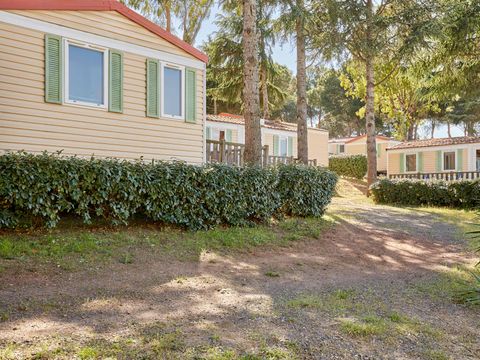 Camping Odalys La Pinède - Camping Hérault - Image N°10