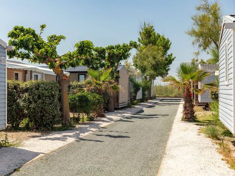 Camping Le Castellas - Camping Hérault - Image N°12