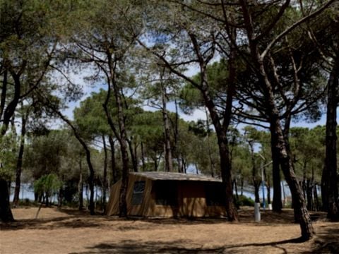 TENTE 4 personnes - Tente Escapade (sans sanitaires)