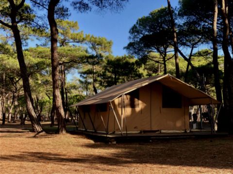 TENTE TOILE ET BOIS 4 personnes - Tente Toile & Bois, sans sanitaires