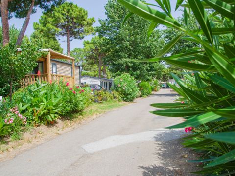 Camping les Jardins d'Agathe ****  - Camping Hérault - Image N°17