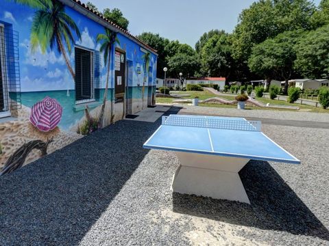 Camping la Taillée - Camping Charente-Maritime - Image N°12