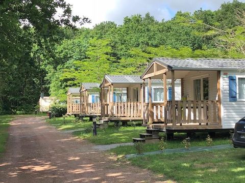 Camping La Forêt - Camping Vendée - Image N°9