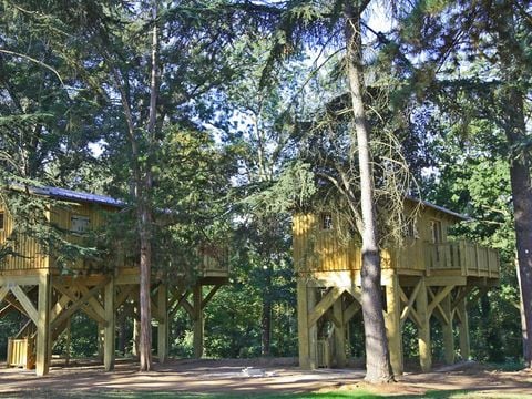 Camping Albirondack Park Lodge And Spa - Camping Tarn - Image N°15