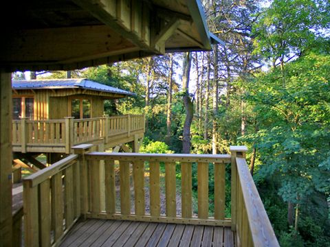 Hébergement 4 personnes - Cabane "dans les arbres"