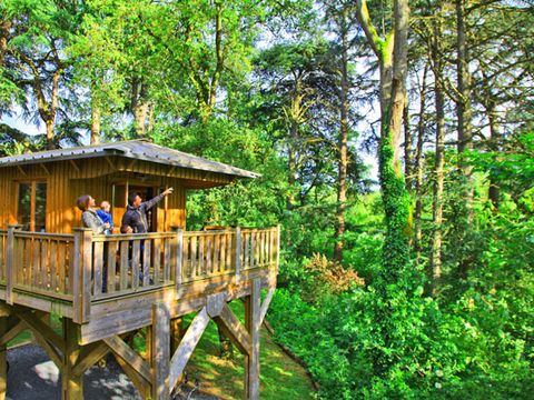 HÉBERGEMENT INSOLITE 4 personnes - Cabane "dans les arbres"