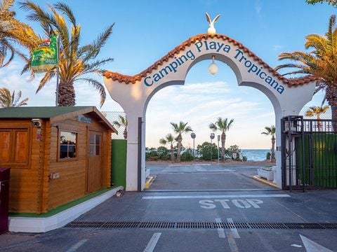 Camping Playa Tropicana - Camping Castellón - Afbeelding N°4