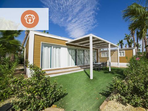 Bungalow 2 personnes - Cacao - Prix pour 2 personnes