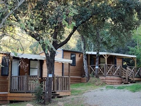 MOBILHOME 6 personnes - Cottage Prestige Pampa (3 CH)