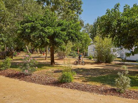 Camping Le Clos Cottet - Camping Vendée - Image N°19