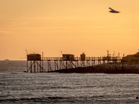 Camping Paradis A La Corniche - Camping Charente-Maritime - Image N°27