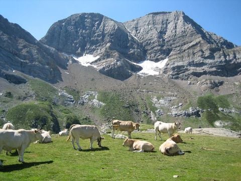 Camping du Lac - Camping Hautes-Pyrénées - Image N°25