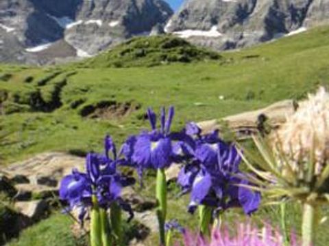 Camping du Lac - Camping Hautes-Pyrénées - Image N°61