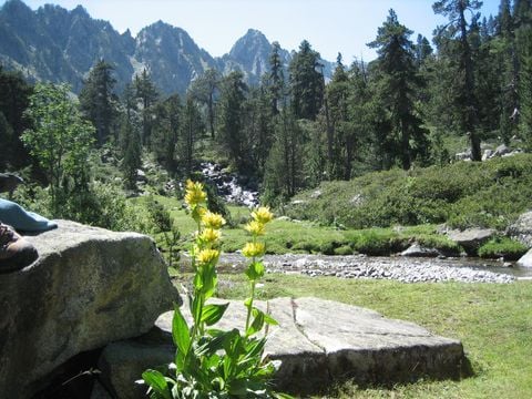 Camping du Lac - Camping Hautes-Pyrénées - Image N°74
