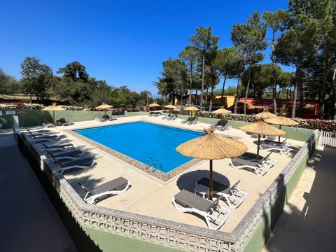 Camping Domaine des Mimosas - Camping Pyrenees-Orientales - Image N°13