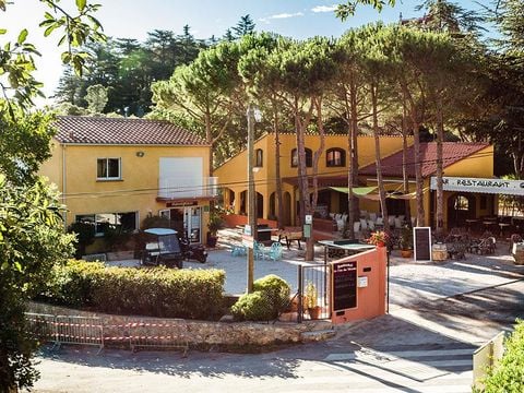 Camping Domaine des Mimosas - Camping Pyrenees-Orientales