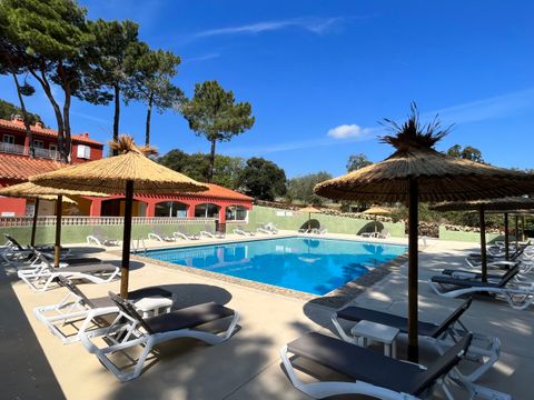Camping Domaine des Mimosas - Camping Pyrenees-Orientales - Image N°12