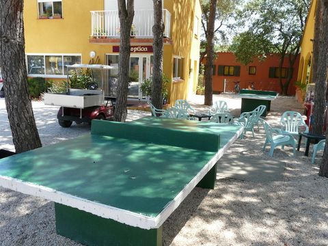 Camping Domaine des Mimosas - Camping Pyrenees-Orientales - Image N°2