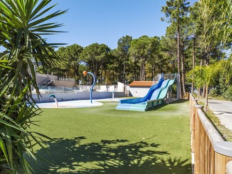 Camping Taxo les Pins  - Camping Pyrenees-Orientales