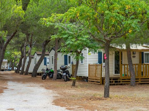 Camping Le Roussillonnais - Camping Pyrenees-Orientales - Image N°19