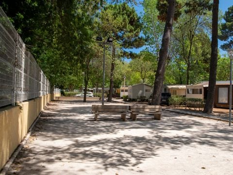 Camping Club Le Littoral 5* - MS VACANCES - Camping Pyrénées-Orientales