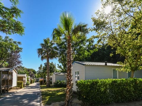 Camping Club Le Littoral 5* - MS VACANCES - Camping Pyrénées-Orientales - Image N°52