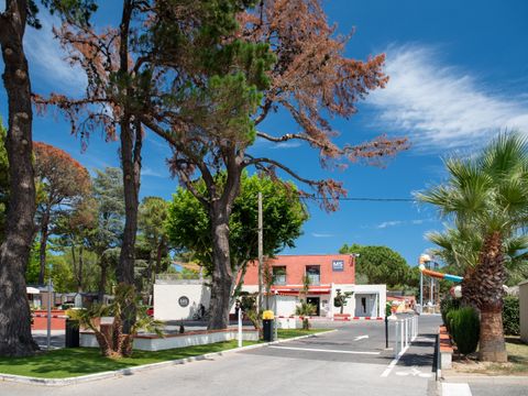 Camping Club Le Littoral 5* - MS VACANCES - Camping Pyrénées-Orientales - Image N°17