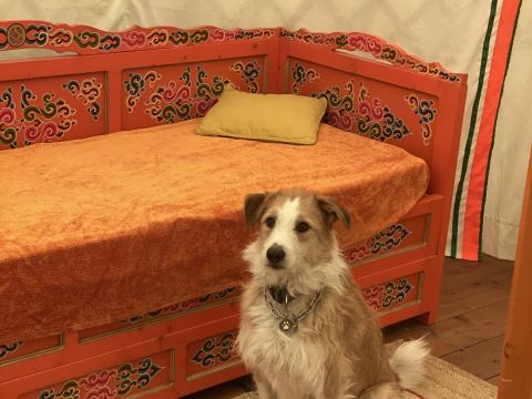 HÉBERGEMENT INSOLITE 3 personnes - Yourte mongole 3 personnes