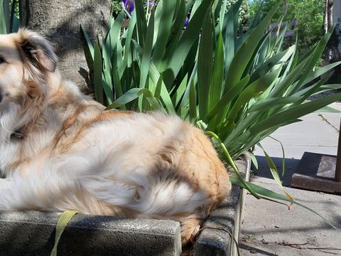 Camping Ushuaïa Villages Le Viaduc - Camping Ardèche - Image N°50