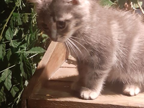 Camping Ushuaïa Villages Le Viaduc - Camping Ardèche - Image N°51