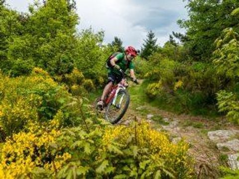 Camping Ushuaïa Villages Le Viaduc - Camping Ardèche - Image N°46