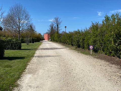 Camping l'Arlésienne - Camping Bouches-du-Rhône - Image N°26