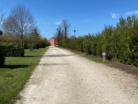 Camping l'Arlésienne - Camping Bouches-du-Rhône - Image N°28