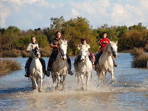 Camping l'Arlésienne - Camping Bouches-du-Rhône - Image N°18