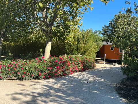 Camping l'Arlésienne - Camping Bouches-du-Rhône - Image N°19