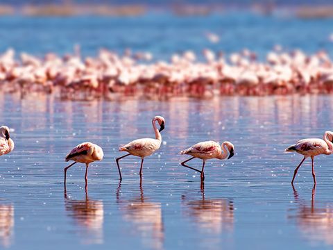 Camping l'Arlésienne - Camping Bouches-du-Rhône - Image N°17